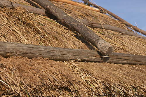 �������� �����