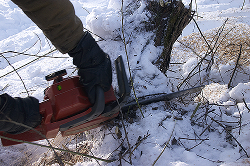 ���� ���������� ������ ��������� �������� ���������� �����