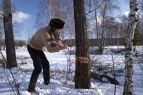 ��������� ���� � �������...�