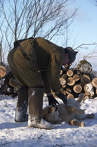 ���� ����� � ������