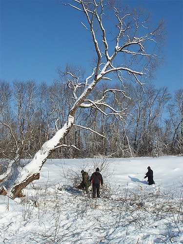 ������ �������� �����