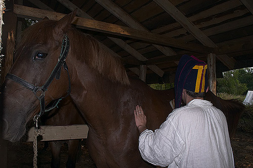 ���������������� �������� �� 6 ������� � ������ 6-�� ��������� �������� ���������� ����������� �����