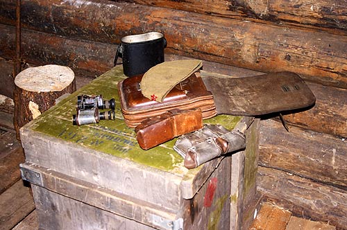 ������ ����