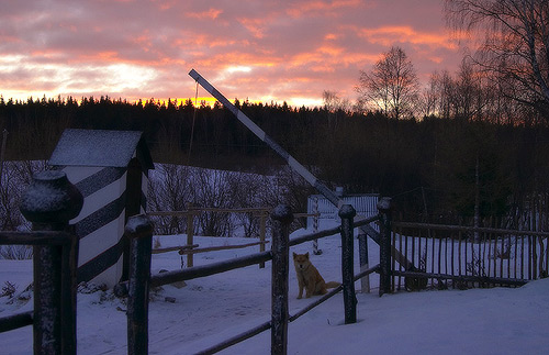 ������ ���� � ��������