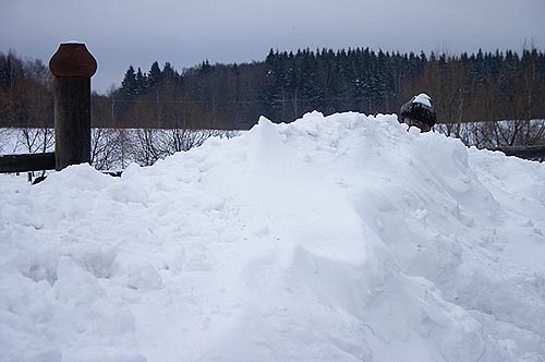 ������� ���� ������