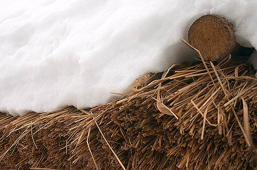 ���� �� ���������� �����