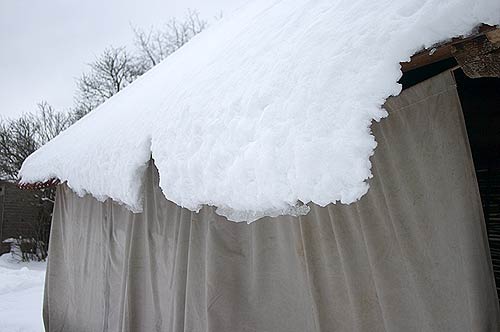 ���� �� ����� ������ �����