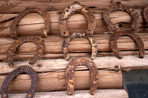 �������� ��������� ��������� ������