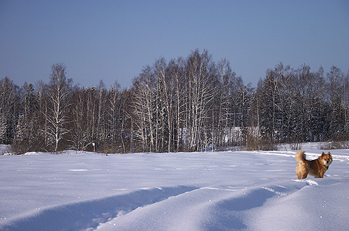 �������!