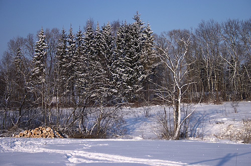 �� �����.