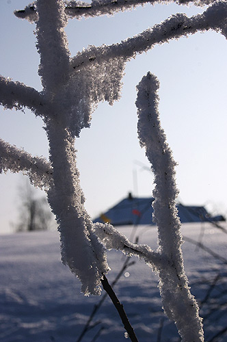 ����� �� ����.