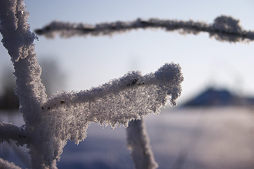 �� ����� ������� �����.