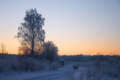 ������� ����� ������� �������